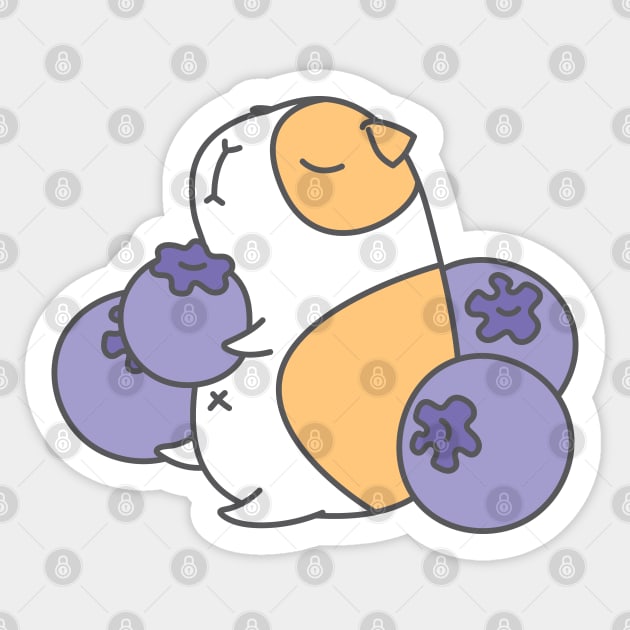 Guinea pig with blue berry Sticker by Noristudio